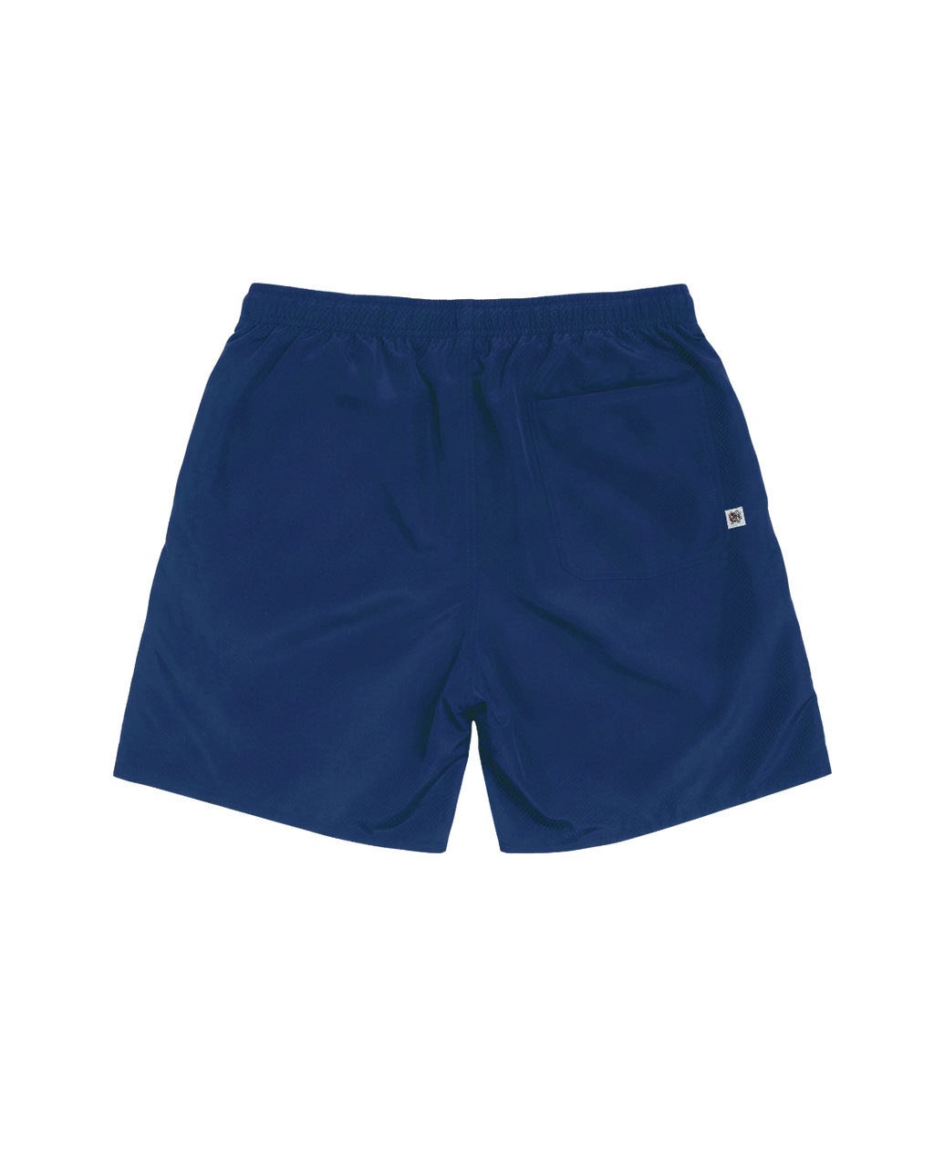 Shorts D'Água Azul "Carpa"